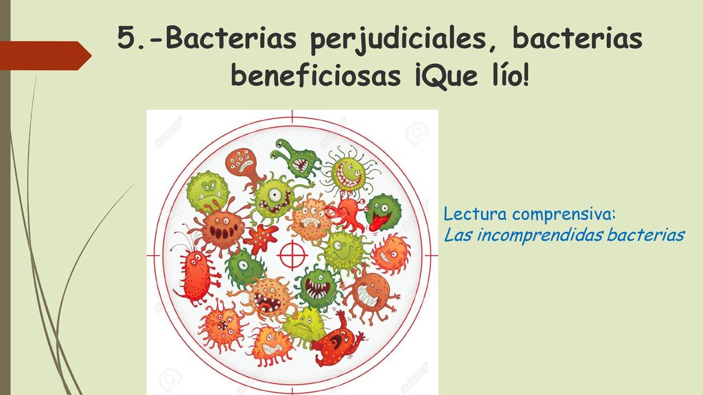 nombres de bacterias perjudiciales y beneficiosas